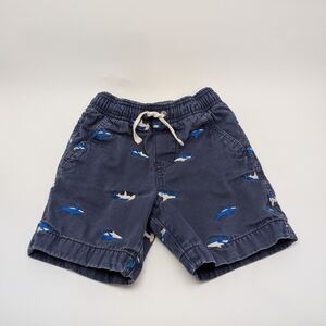 Hanna Andersson Blue Shark Pattern Kids Shorts